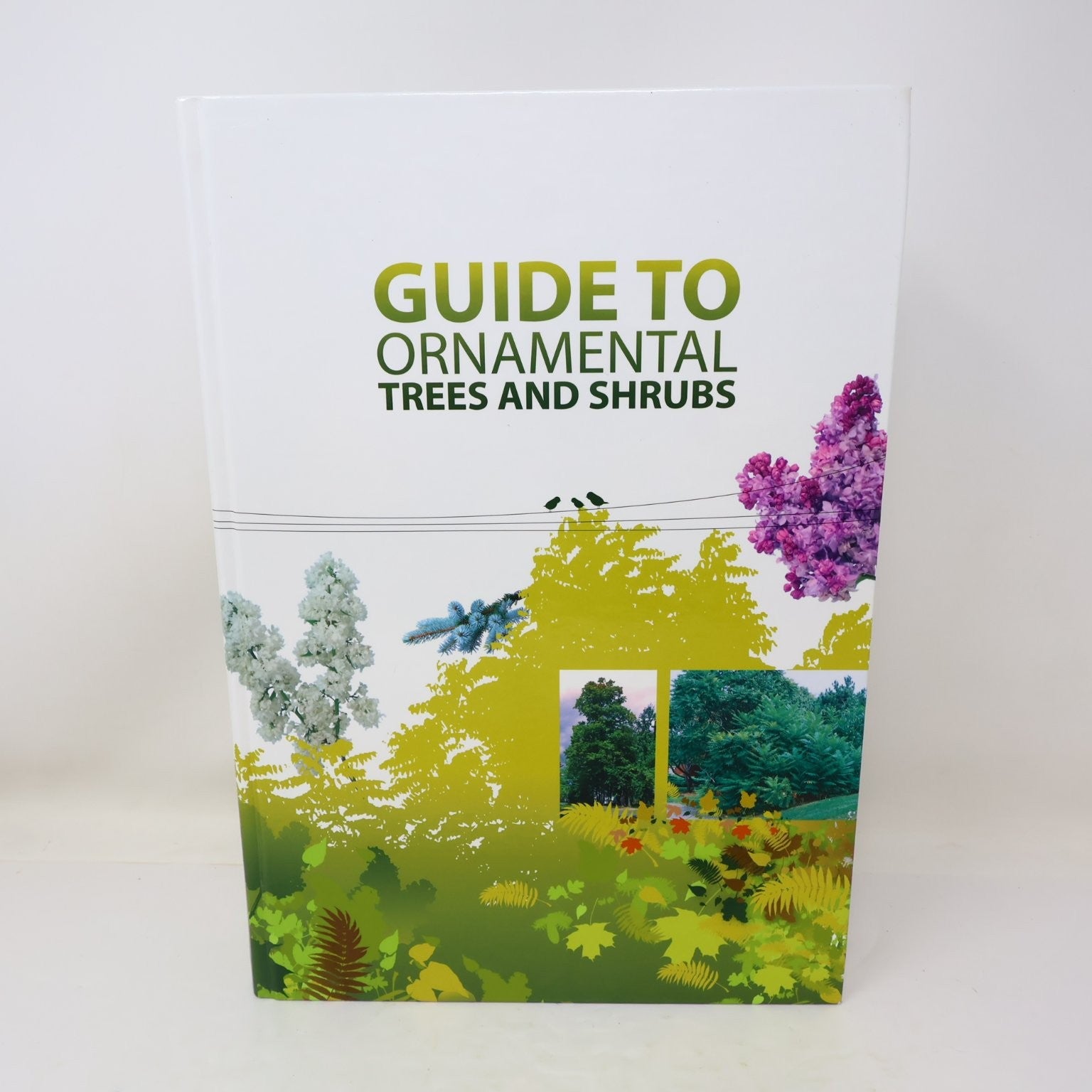 Guide to Ornamental Trees and Shrubs Hydro-Quebec 2005 3rd Ed Gardening Broquet