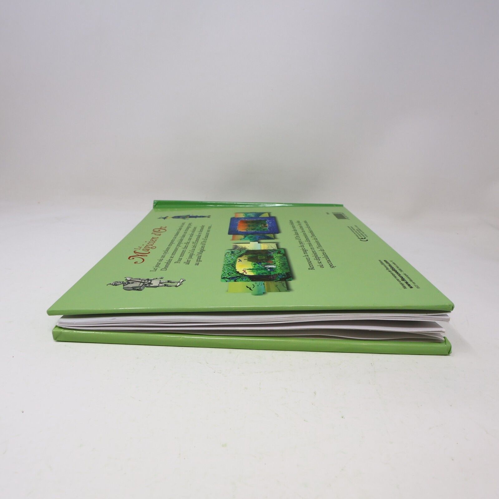 2012 Le Magicien d'Oz Livre-Théâtre 3D The Wizard of Oz Lyman Frank Baum French