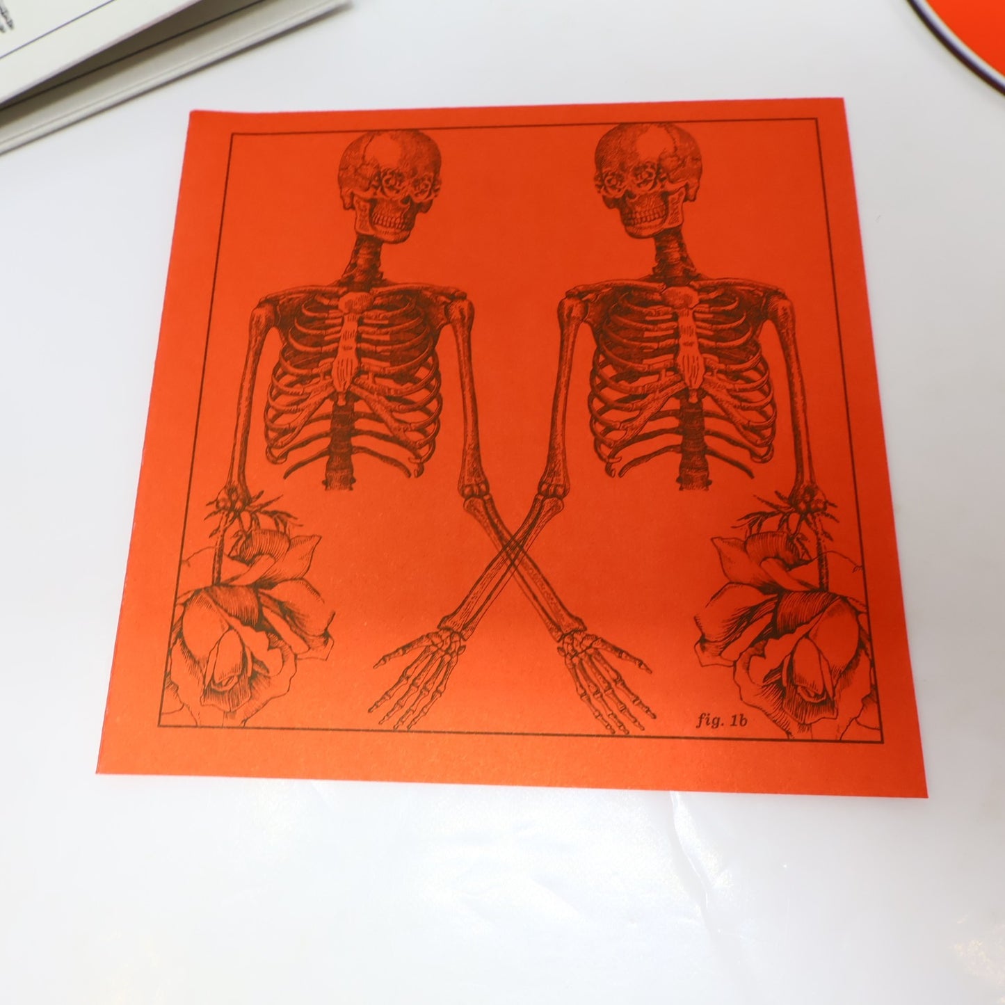 Cœur De Pirate Trauma CD Chansons de le Série Télé 2013 Dare To Care Records