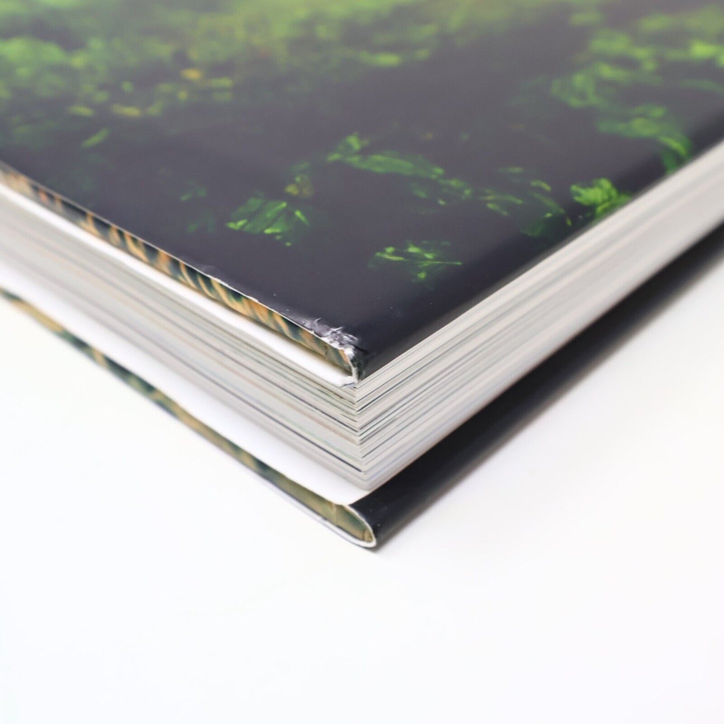 2014 Rainforest by Lewis Blackwell Nature Photos Harry N. Abrams Book Hardcover