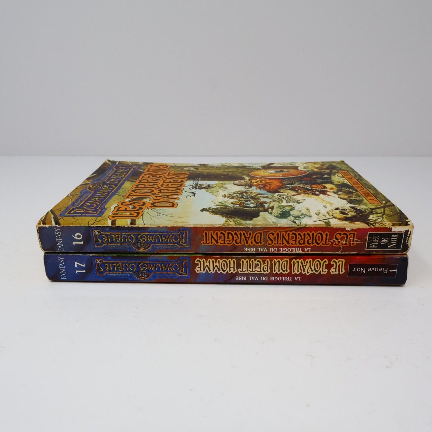 Lot 2 Livres Royaumes Oubliés #16-17 La Trilogie du Val Bise Fantasy Français PB