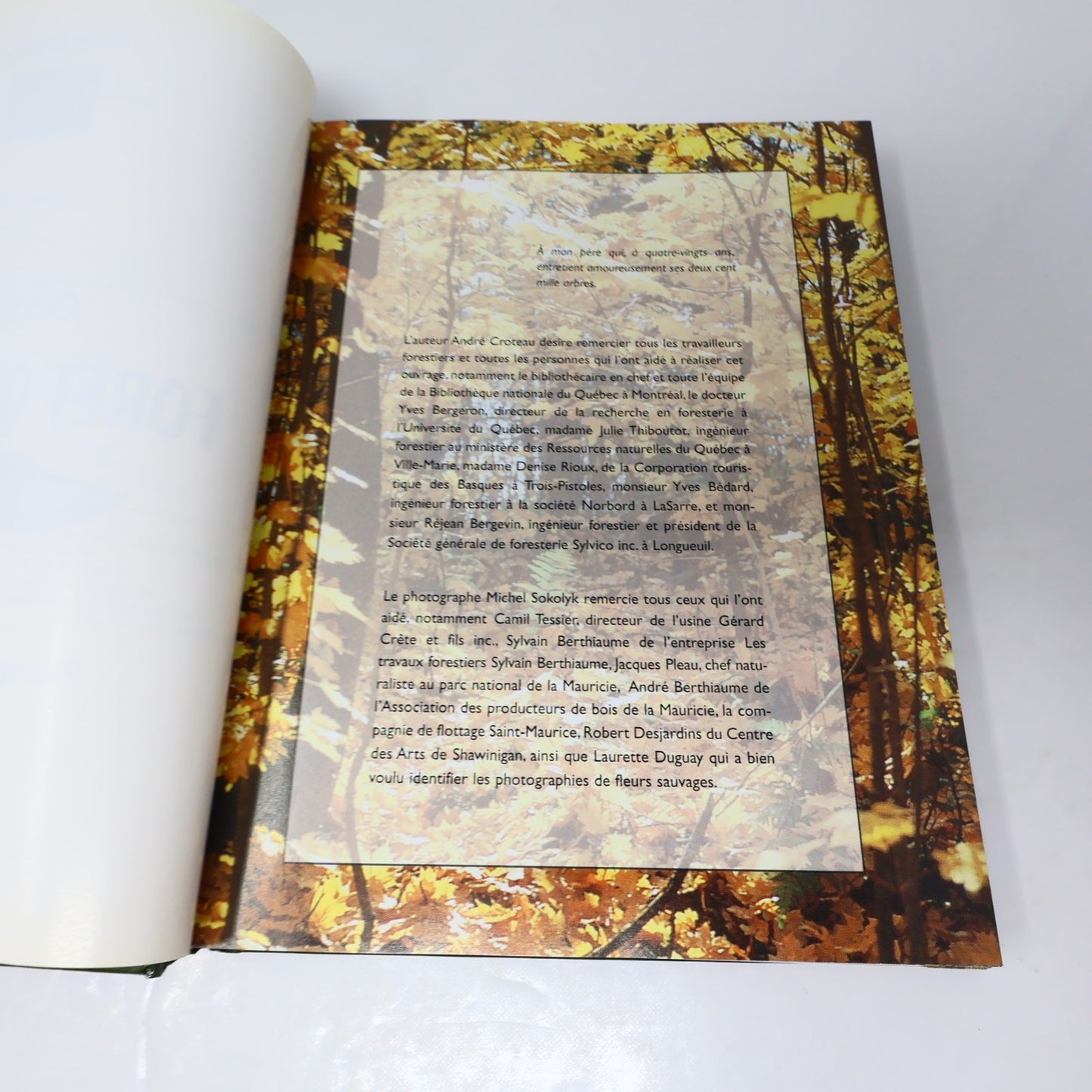 Guide de la Forêt Québécoise André Croteau De L'homme 1996 HC Arbres Nature 90s