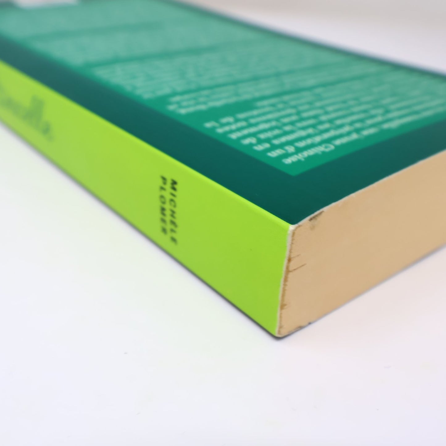 Étincelle Michèle Plomer 2016 Français Livre Edition Marchand de Feuilles