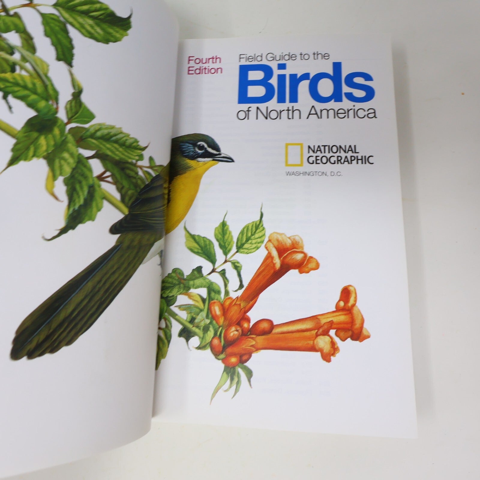 2002 Field Guide to the Birds of North America National Geographic Society Book