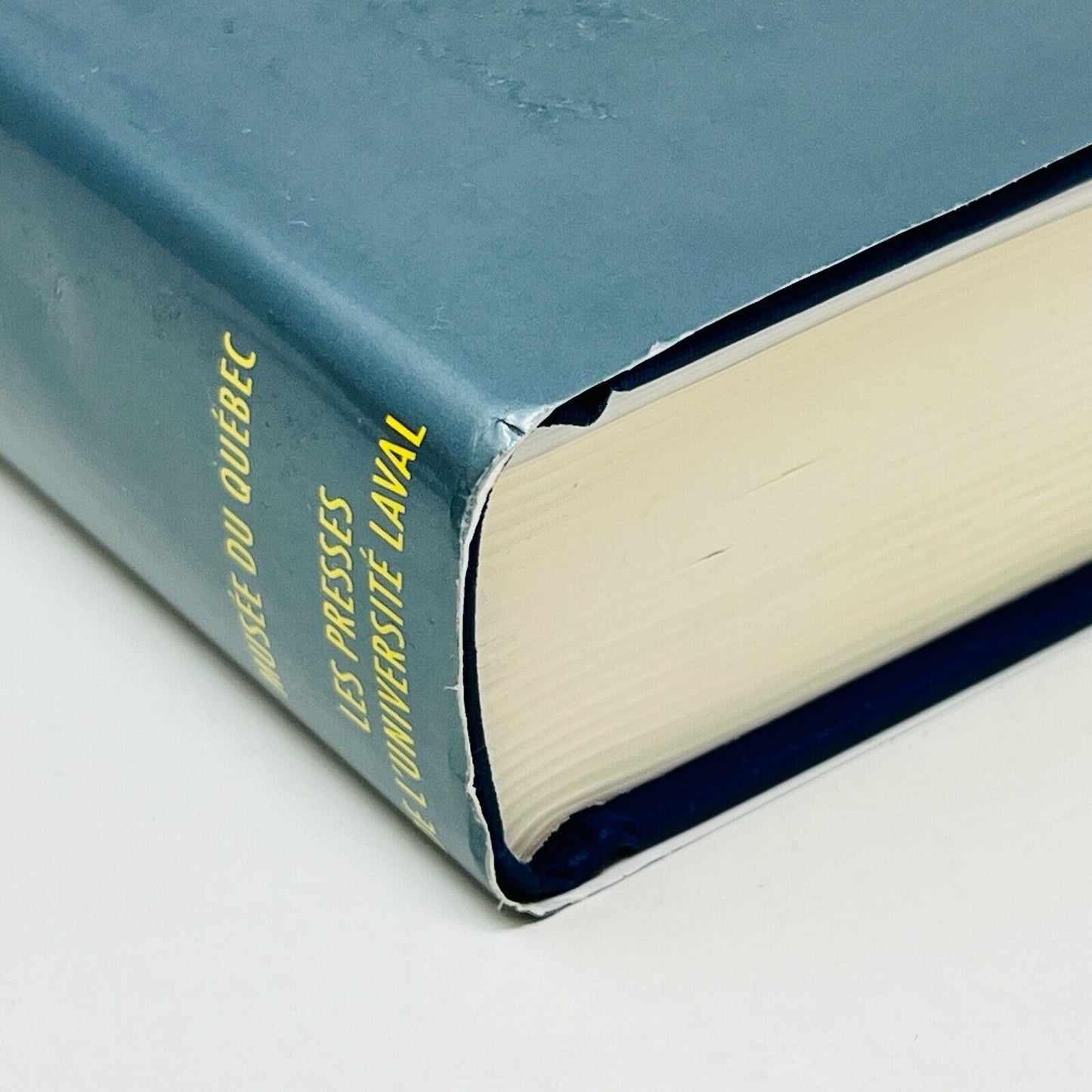 Dictionnaire des Artistes de Langue Française en Amérique du Nord de David Karel