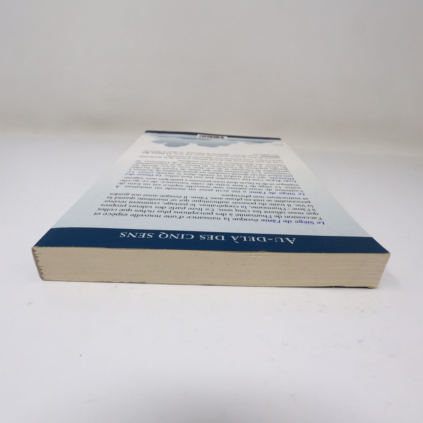 Le Siège de l'Âme Au-Delà des Cinq Sens Gary Zukav Tredaniel 2007 PB Français