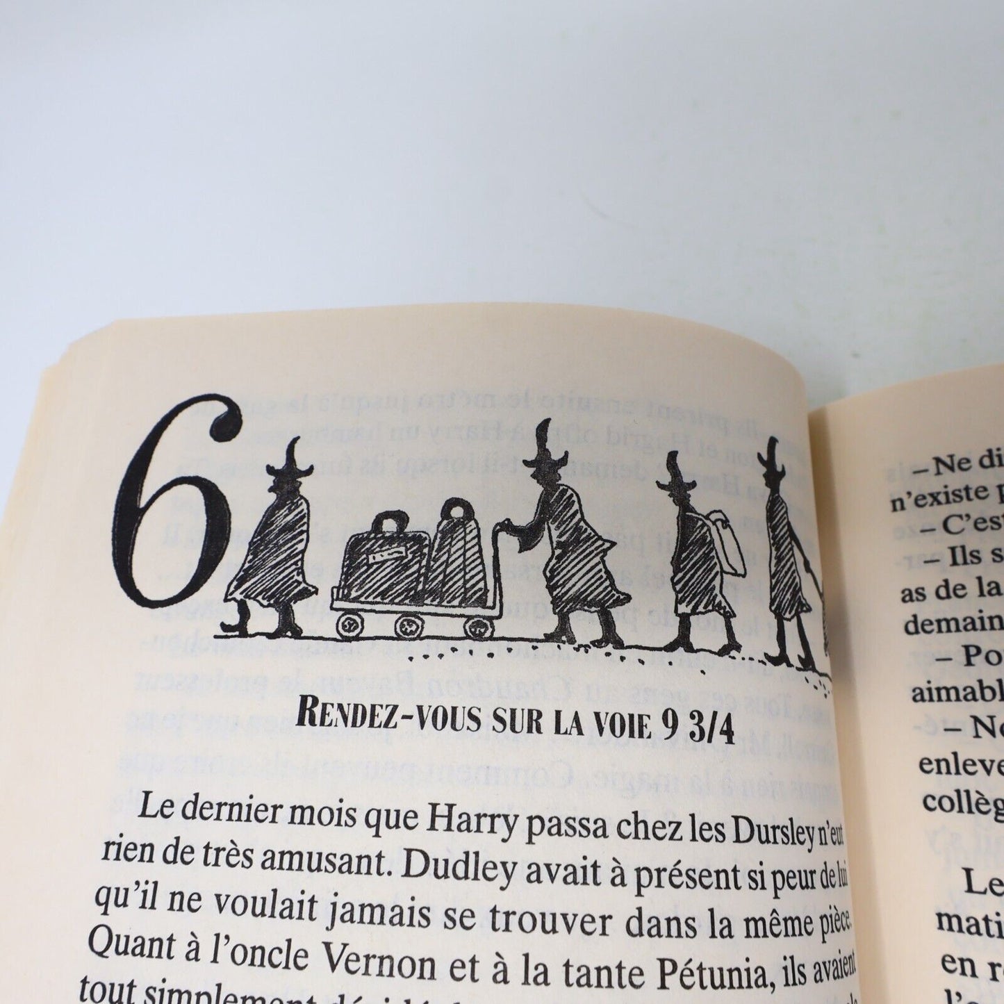 Lot 2 livres illustrés Harry Potter #1-2 Folio Junior 1st Ed Français/French