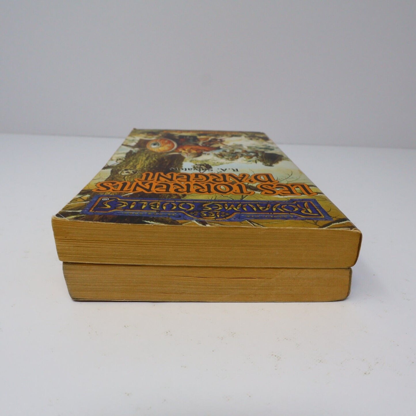 Lot 2 Livres Royaumes Oubliés #16-17 La Trilogie du Val Bise Fantasy Français PB
