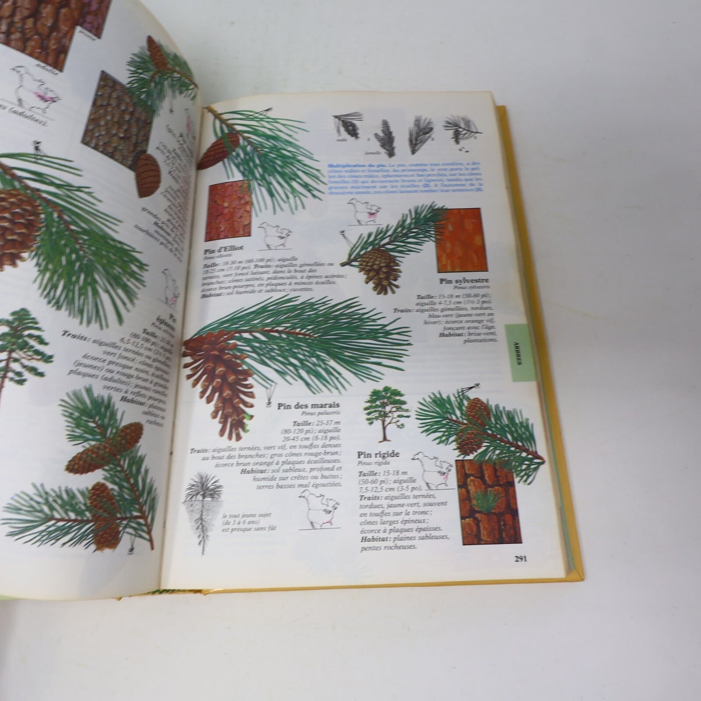 1986 Faune et Flore de l'Amérique du Nord Nature Reader's Digest Français Livre