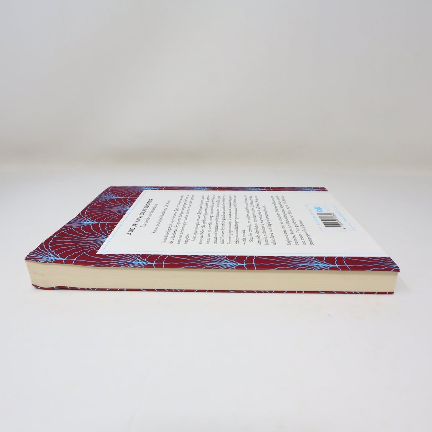 La vérité sur la lumière Audur Ava Ólafsdóttir 2021 Français/French Edition