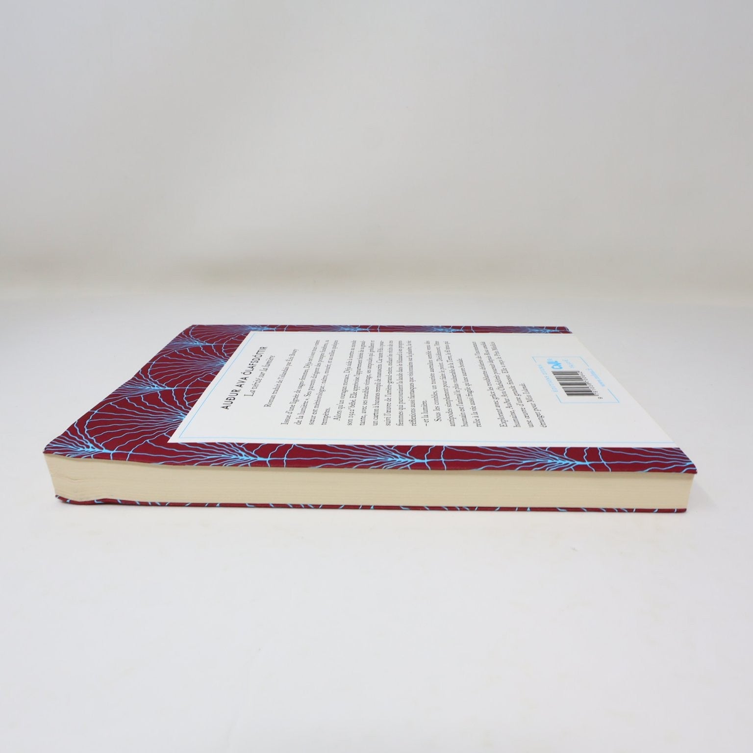 La vérité sur la lumière Audur Ava Ólafsdóttir 2021 Français/French Edition