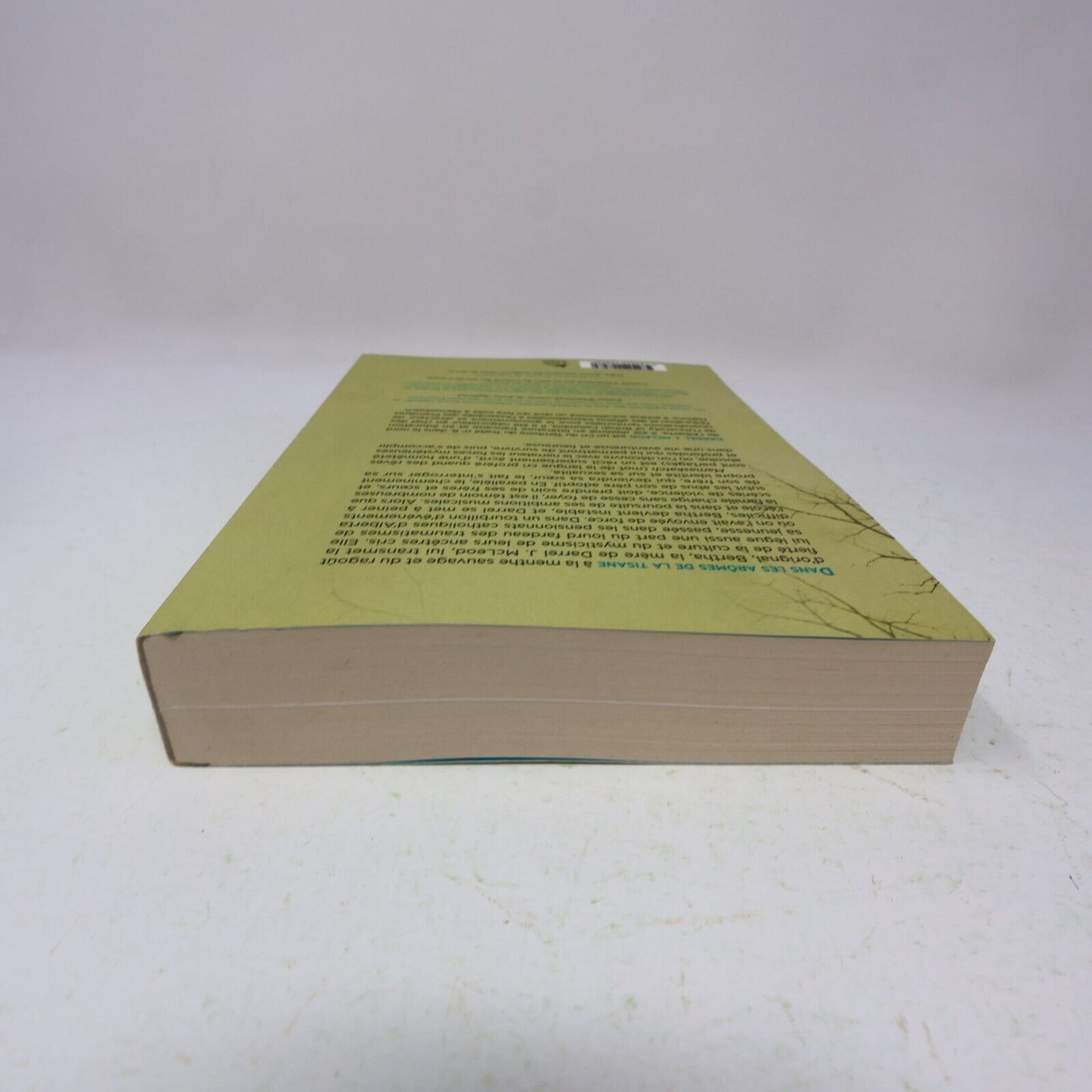 2020 Mamaskatch une Initiation Crie Darrel J. Mcleod Biographie Canada Vlb Livre