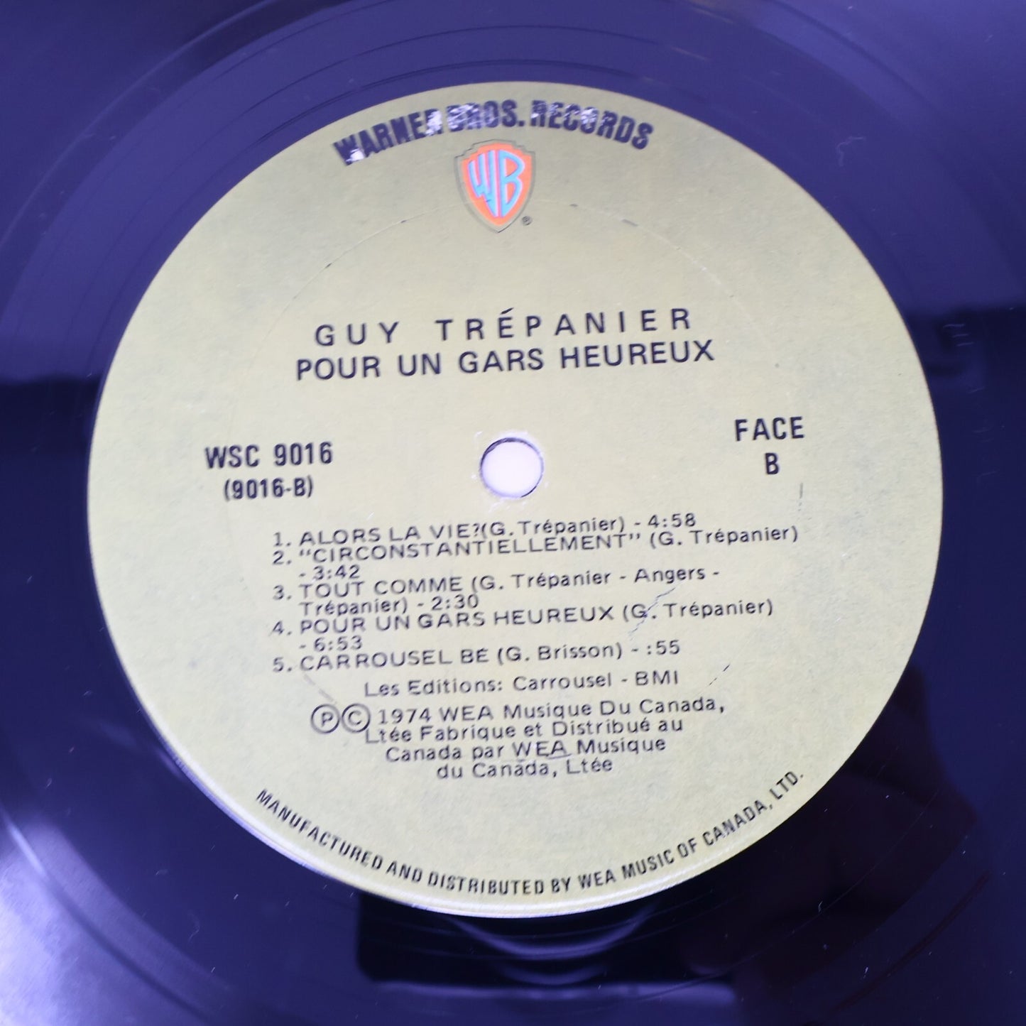 Guy Trépanier Lot 2 Disques LP Fragile L'hiver/Pour Un Gars Heureux Record Vinyl