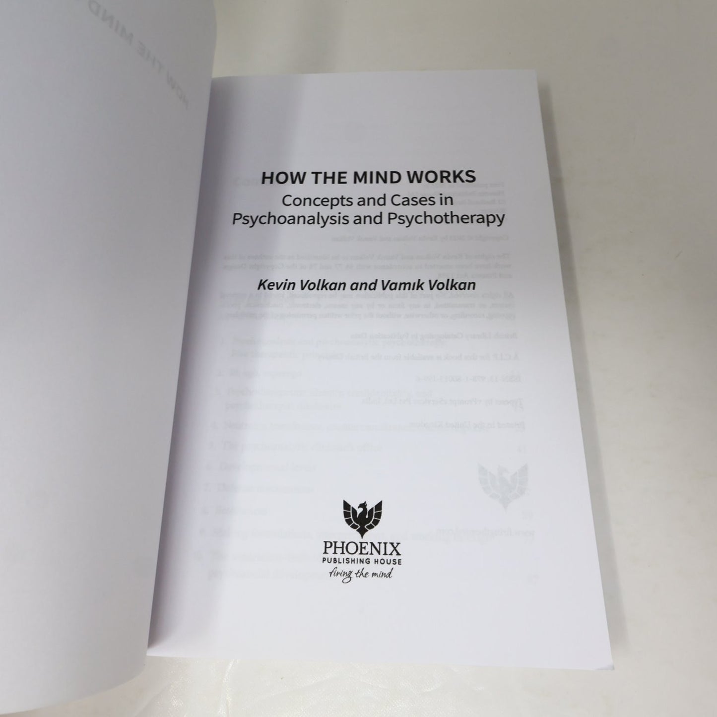How The Mind Works Volkan 2023 Concepts Cases Psychoanalysis Phoenix Paperback