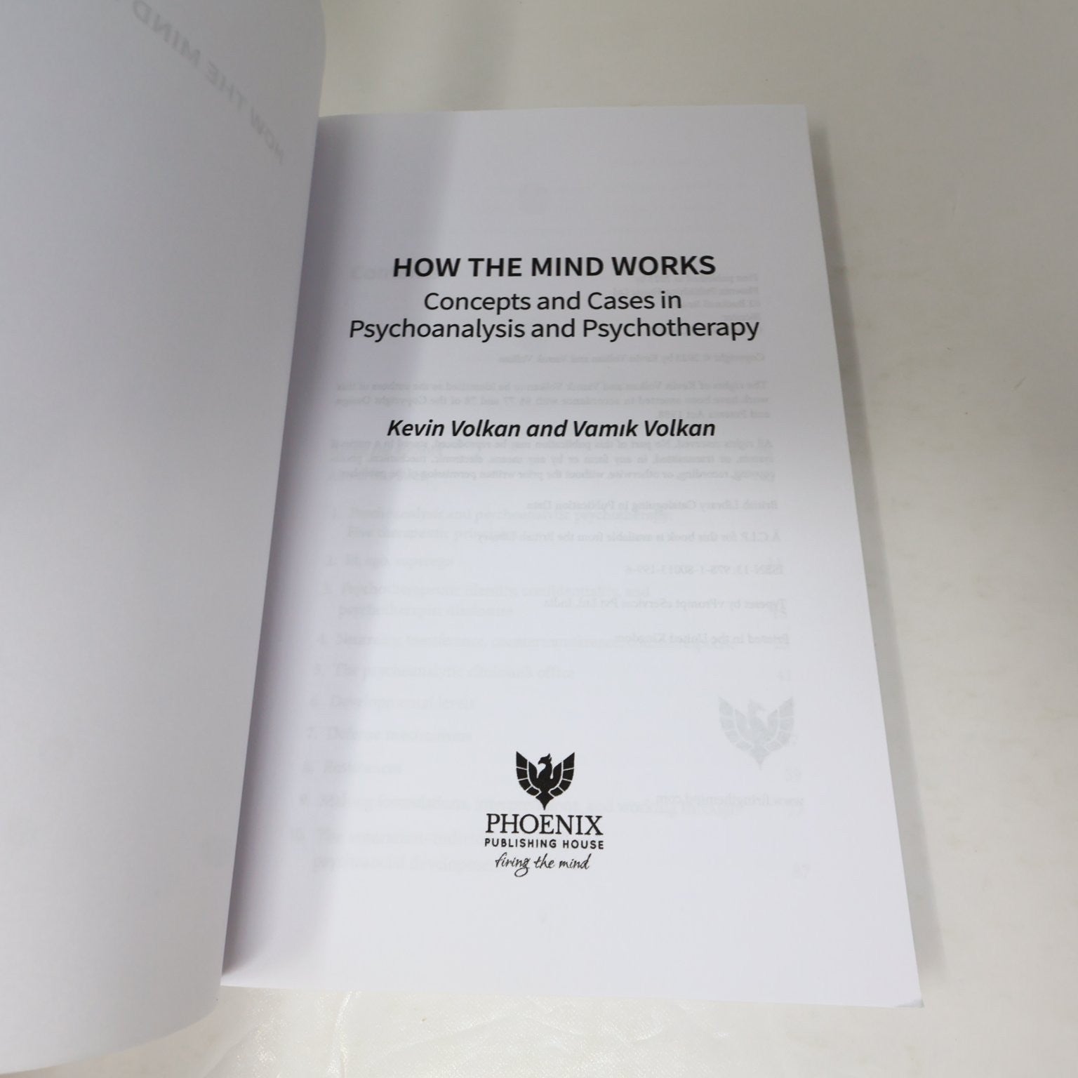How The Mind Works Volkan 2023 Concepts Cases Psychoanalysis Phoenix Paperback