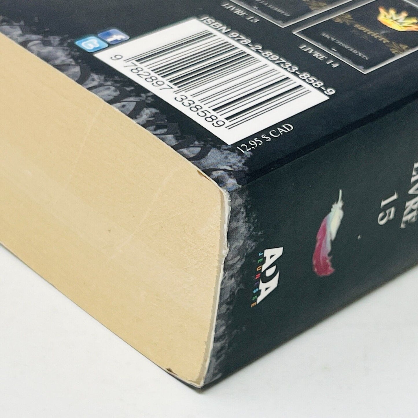 2010 Sorcière #15 L'Enfant de la Nuit de Cate Tiernan Éditions Ada Français PB