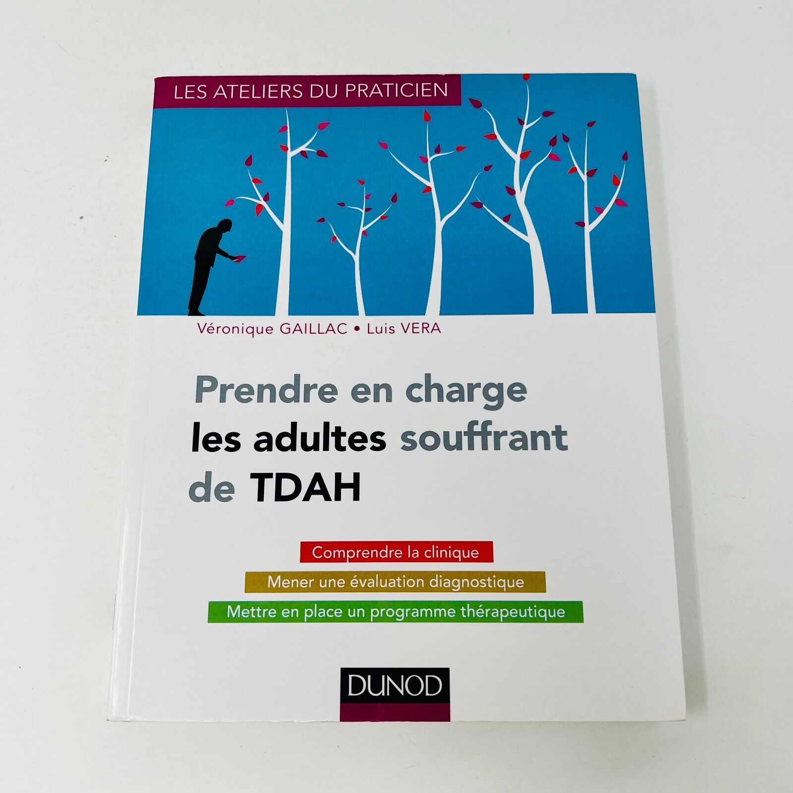 2016 Prendre en Charge les Adultes Souffrant de TDAH Véra/Gaillac Diagnostique