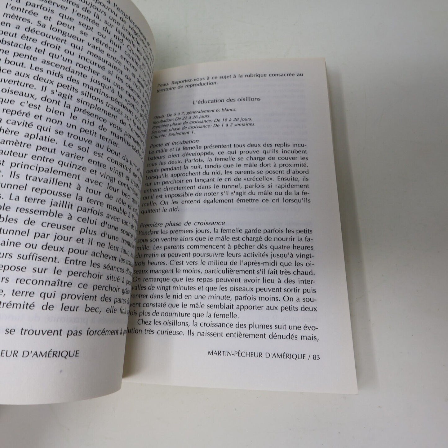 Nos Oiseaux Donald & Lillian Stokes Les Guides Stokes de la Nature #II (2) 1990