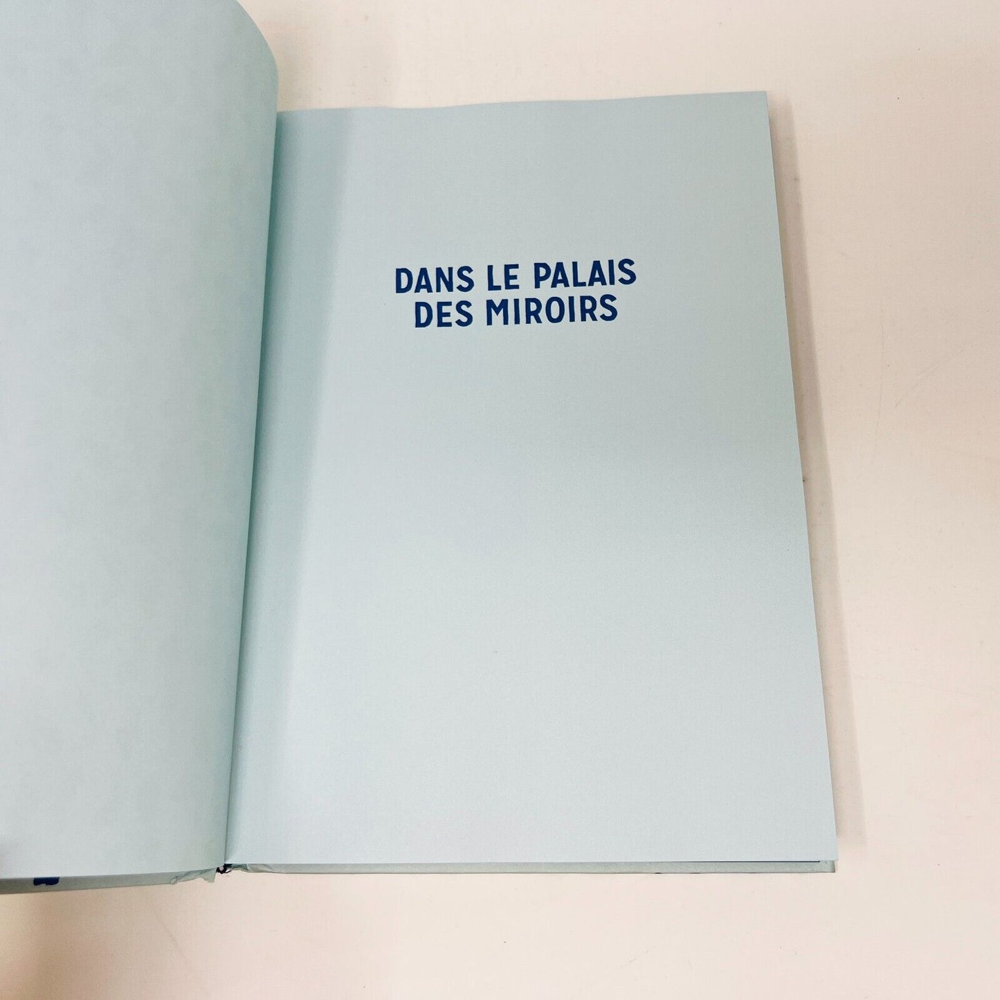 2021 Dans le Palais des Miroirs Bande Dessinée Rackham Liv Strömquist Français