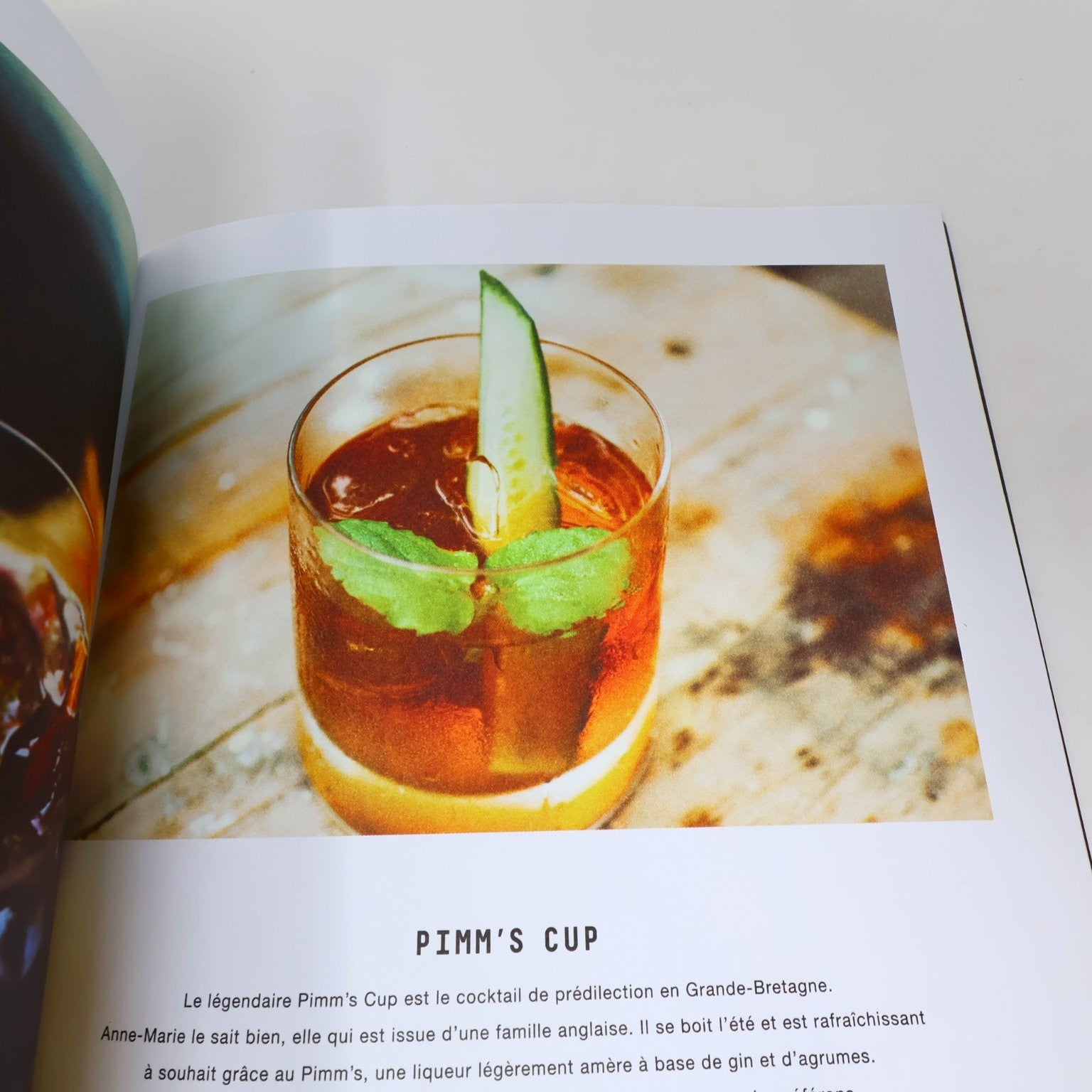 Le Bon Mix Patrice Plante Pierre-Yves Lord 2015 Recettes Cocktail Livre Québec