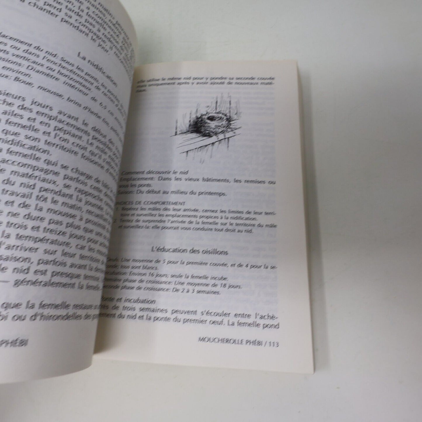 Nos Oiseaux Donald & Lillian Stokes Les Guides Stokes de la Nature #II (2) 1990