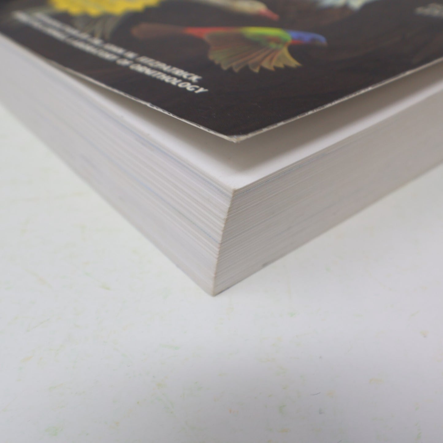 2002 Field Guide to the Birds of North America National Geographic Society Book