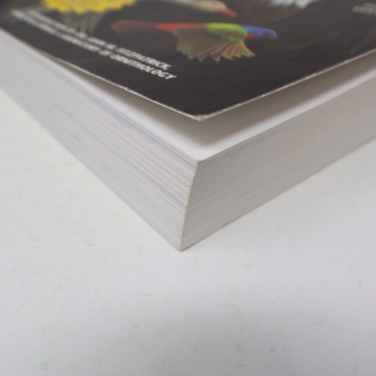 2002 Field Guide to the Birds of North America National Geographic Society Book