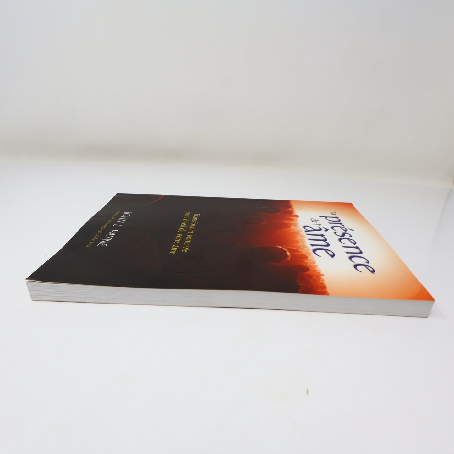La Présence de l'Âme John Payne Ada 2009 PB Français French Ésotérisme Paperback