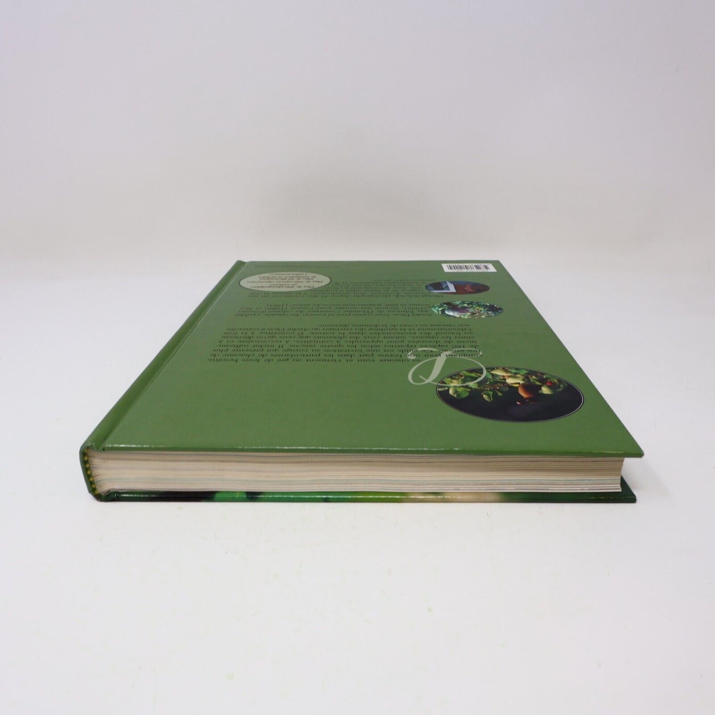 1995 Guide des Oiseaux Saison par Saison Dion/Sokolyk Ornithologie Animaux Livre