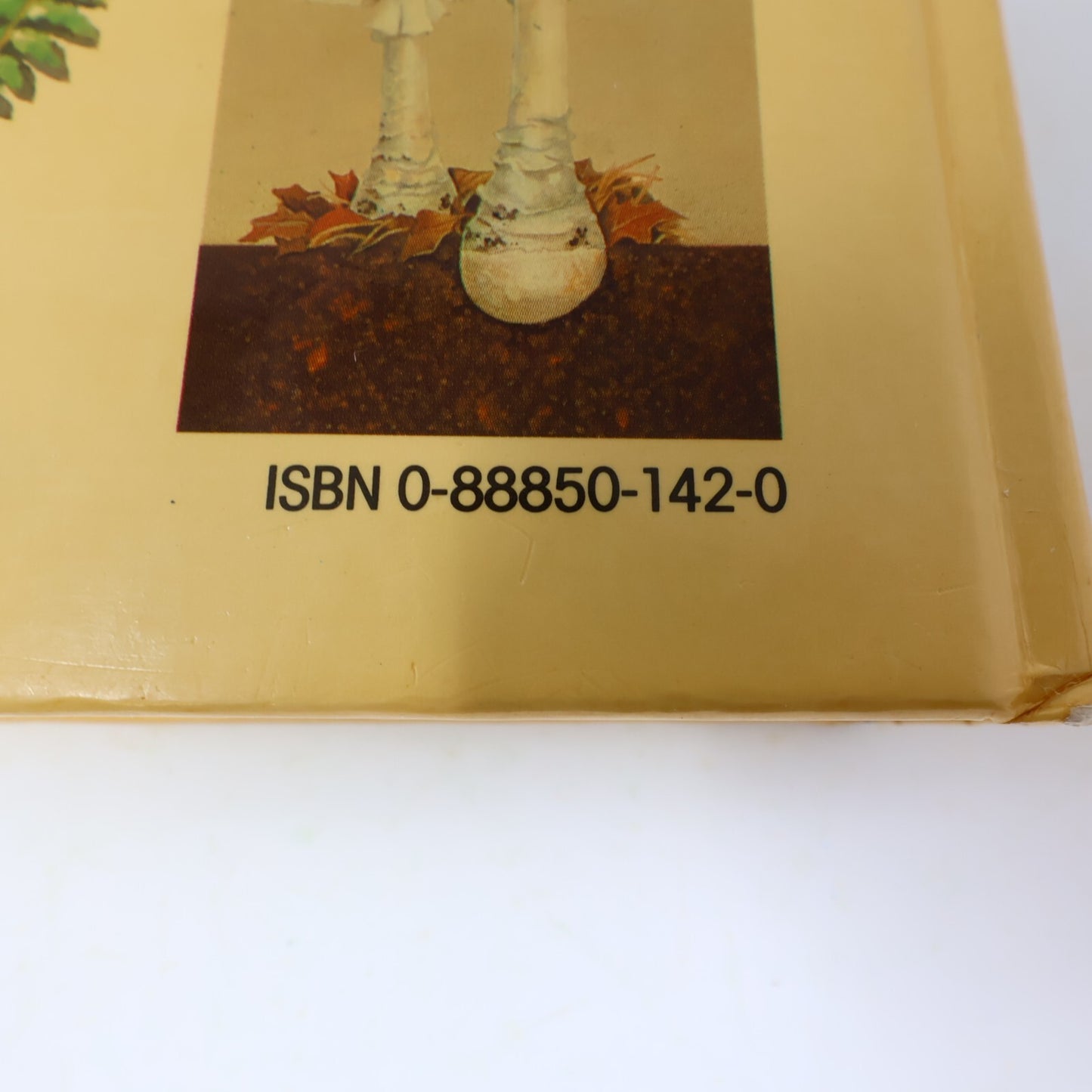 1986 Faune et Flore de l'Amérique du Nord Nature Reader's Digest Français Livre