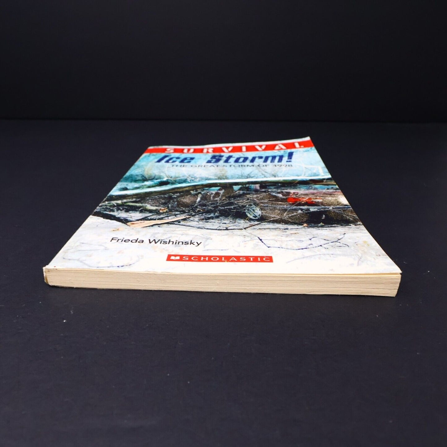 2016 Survival Ice Storm! by Frieda Wishinsky The Great Storm of 1998 Scholastic