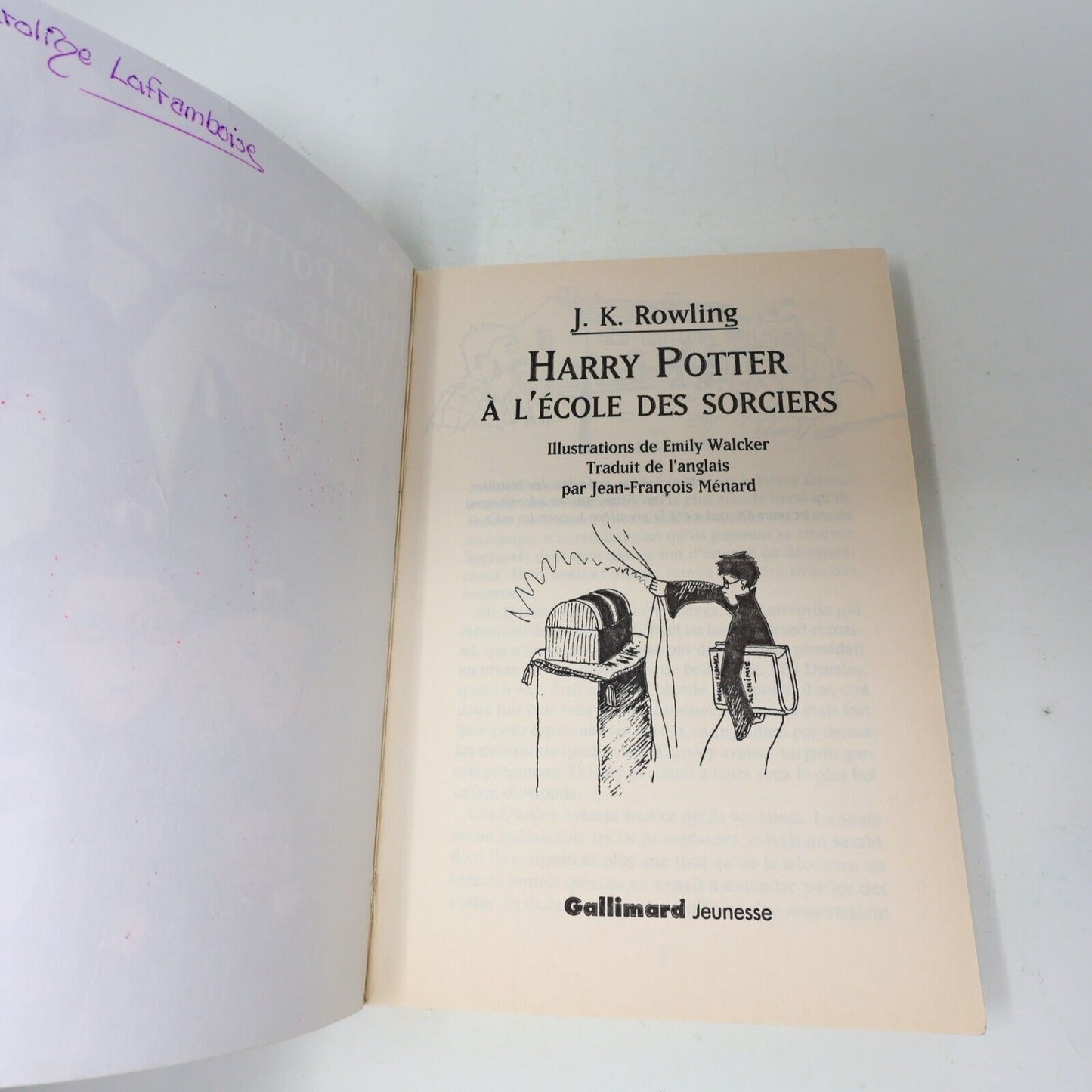 Lot 2 livres illustrés Harry Potter #1-2 Folio Junior 1st Ed Français/French
