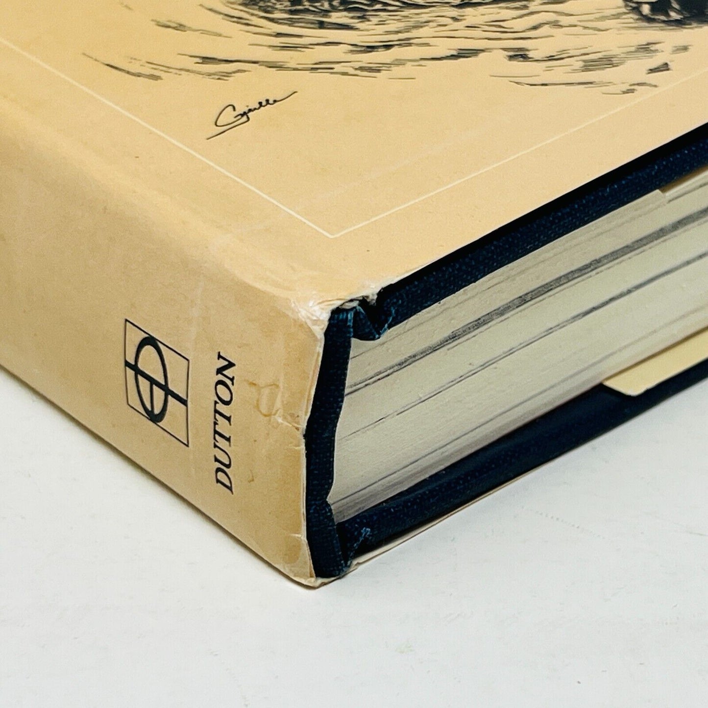 1974 Raising Wild Ducks in Captivity by Dayton O. Hyde Hardcover DJ Dutton IWWA