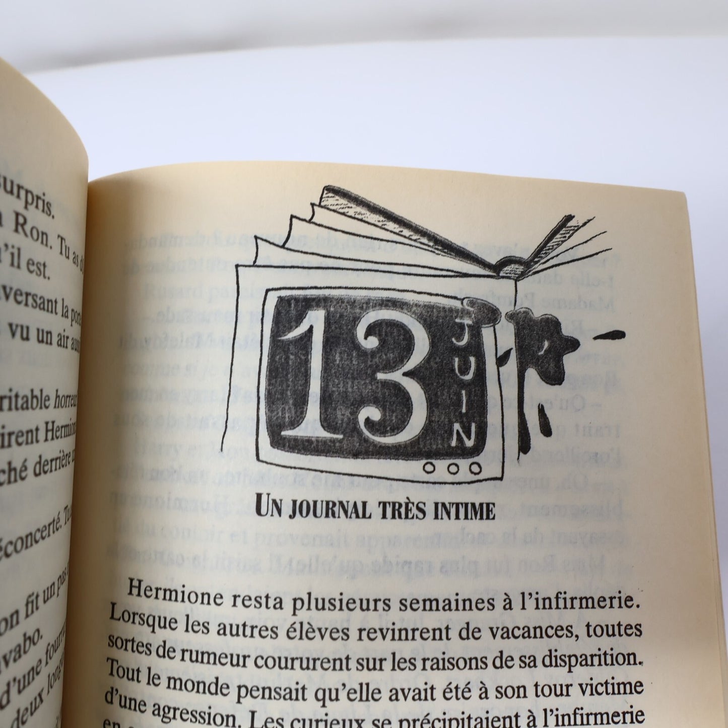 Harry Potter et la Chambre des Secrets Livre Première Édition Illustrée Mar 1999