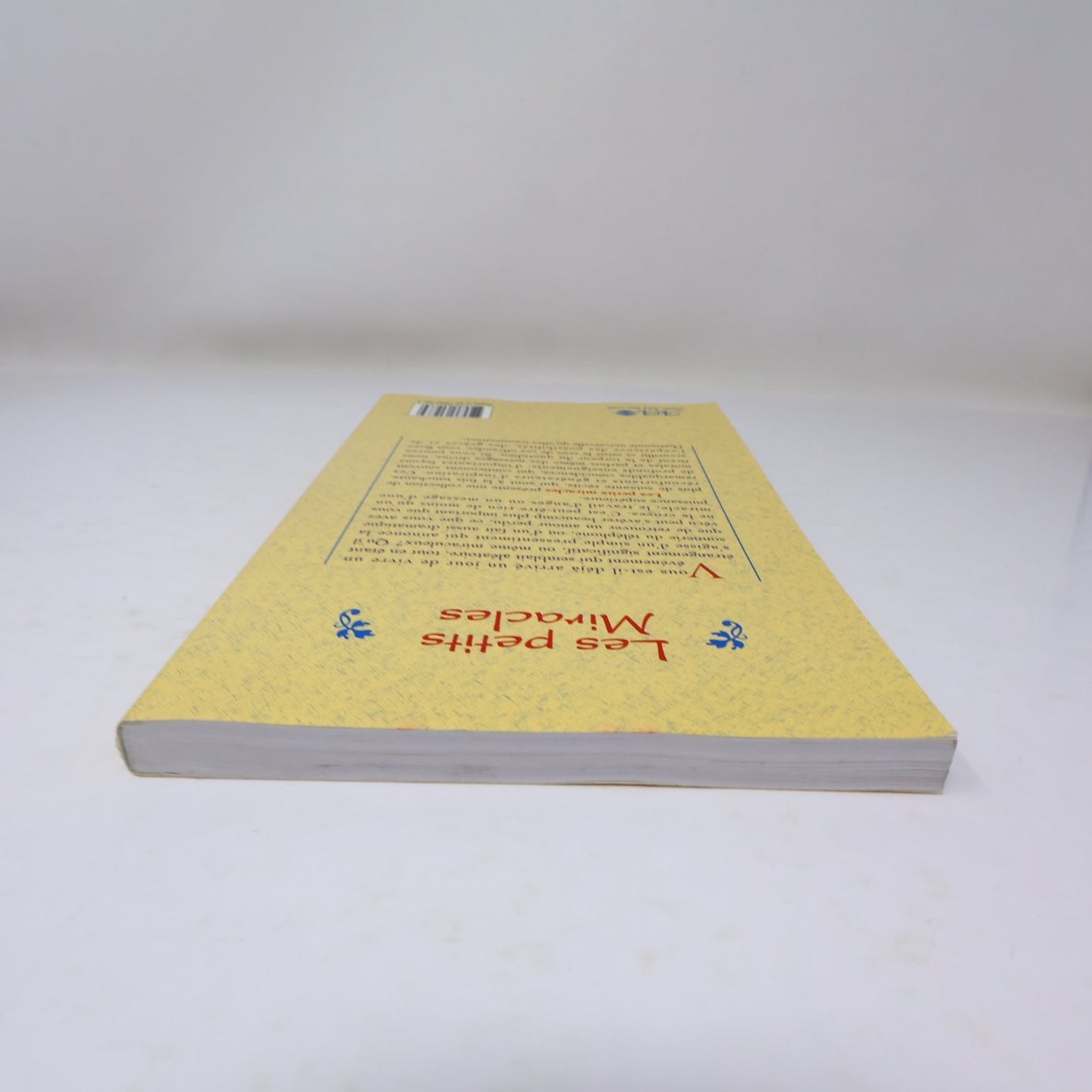 Les petits Miracles Halberstam Leventhal 1999 ADA Coincidences du Quotidien