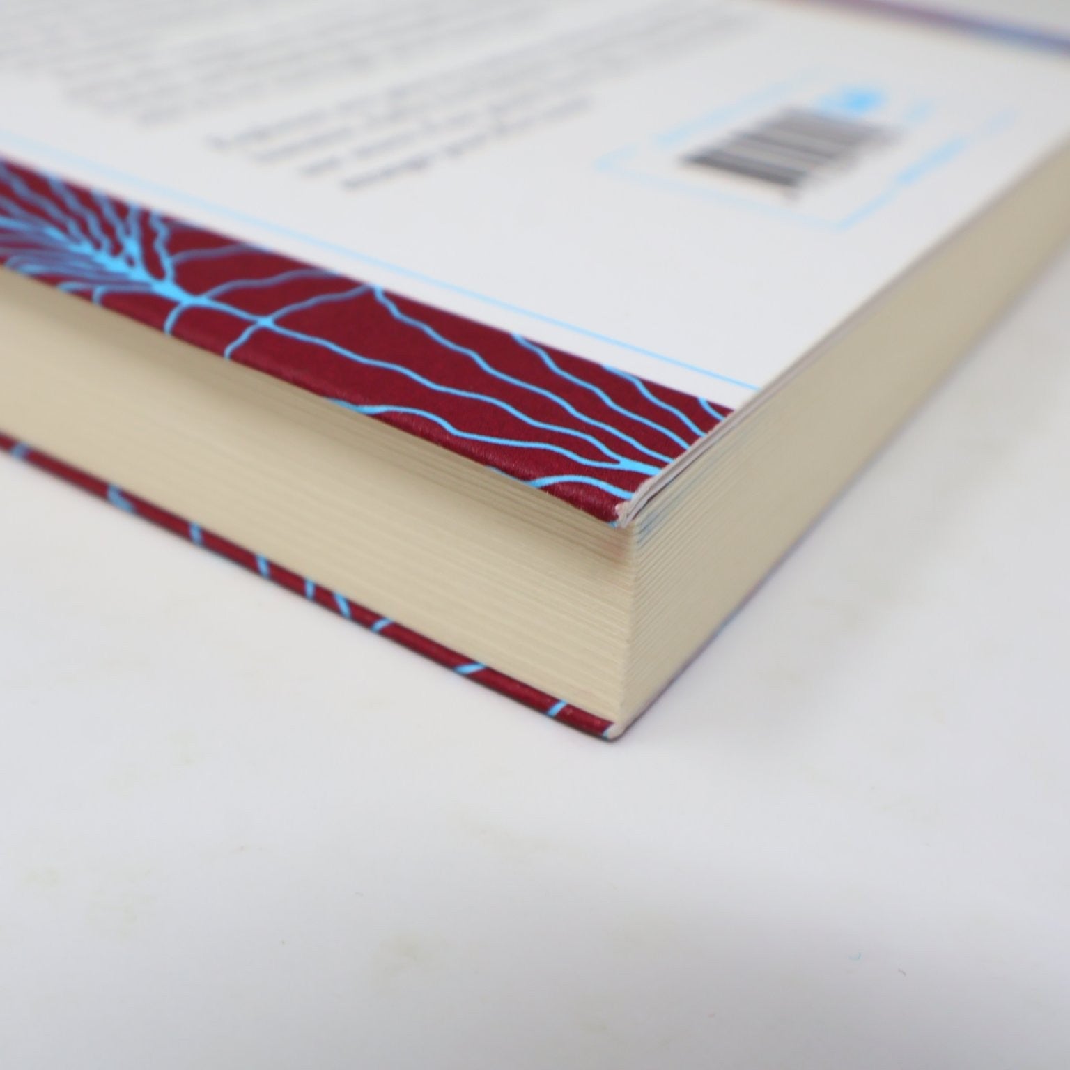 La vérité sur la lumière Audur Ava Ólafsdóttir 2021 Français/French Edition