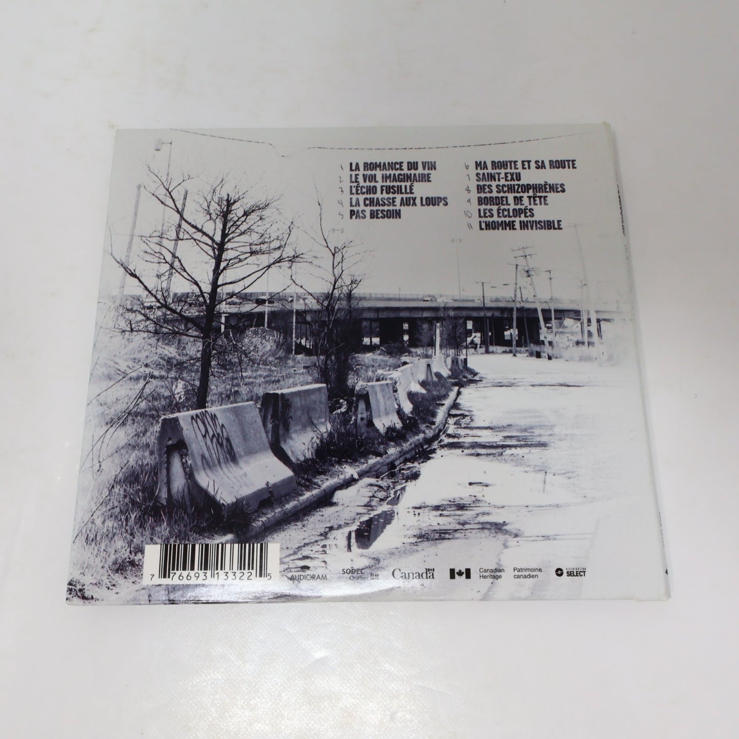 Yves Desrosiers Lot 2 CD Volodia/Bordel De Tête Audiogram Pas Besoin/Saint-Exu