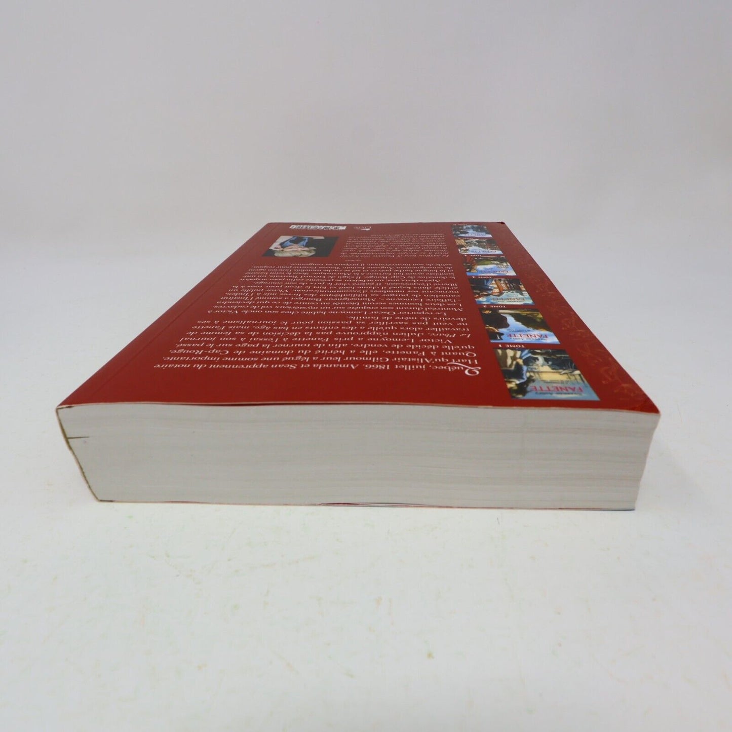 Fanette #7 Honneur et Disgrâce Suzanne Aubry 2012 Libre Expression Français PB