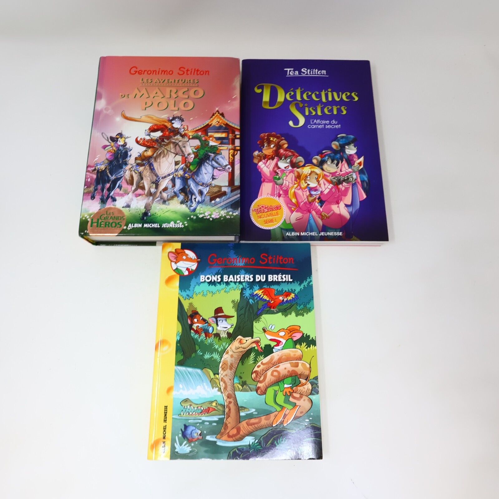 15x Geronimo Stilton Voyage dans le Temps Royaume des Rêves Lot Livres Français