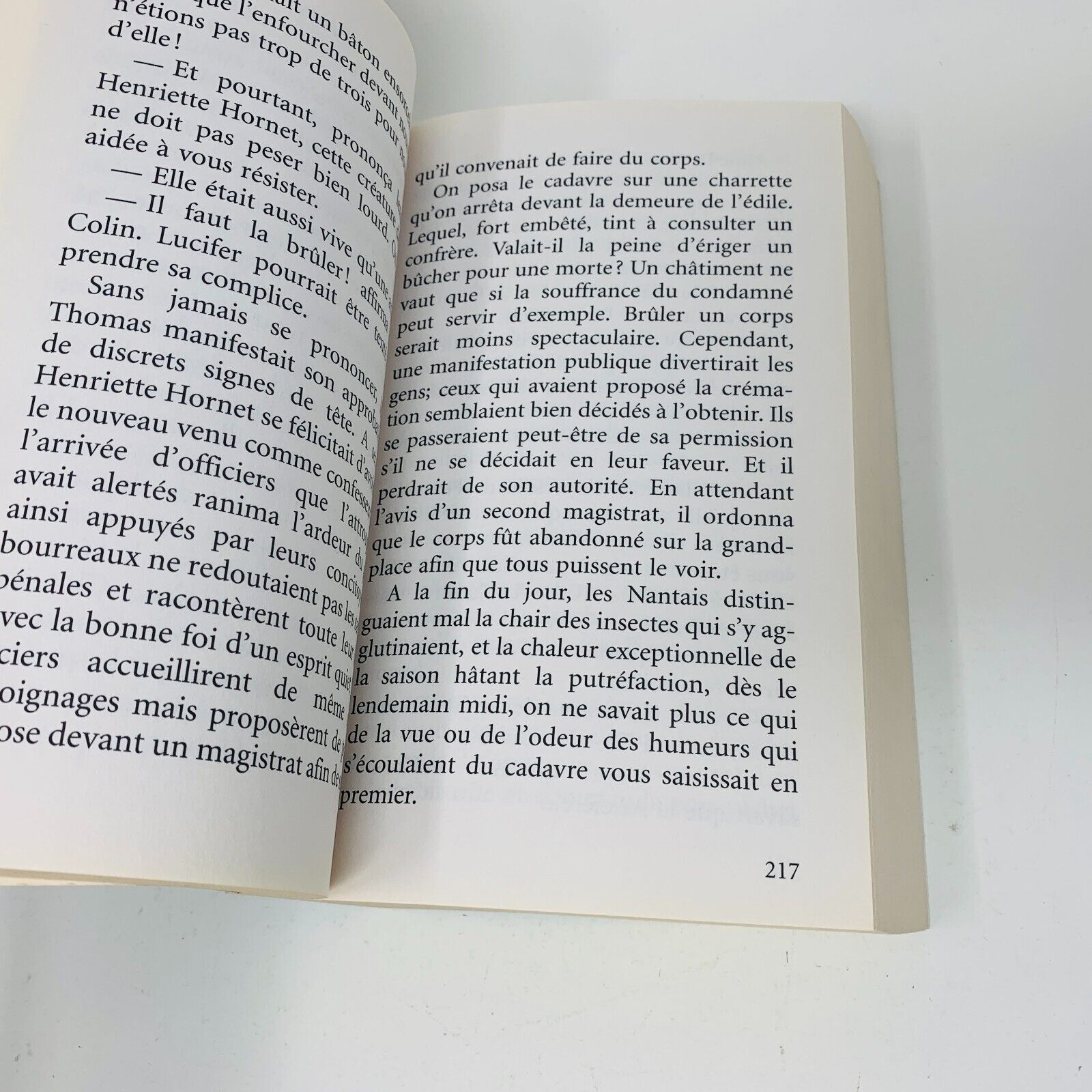 Marie Laflamme Tomes 1-2 Romans en Grands Caractères Chrystine Brouillet Lot