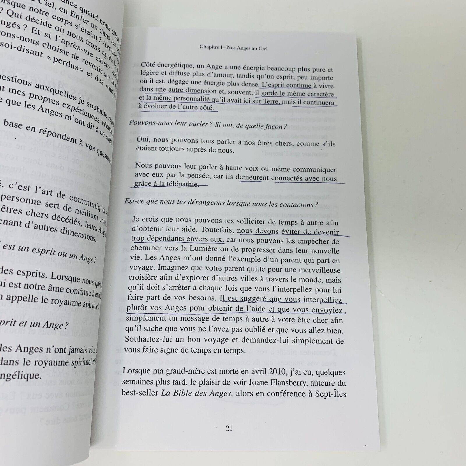Nos Anges au Ciel Comment Communiquer avec nos êtres Disparus Lucinda Gabriel