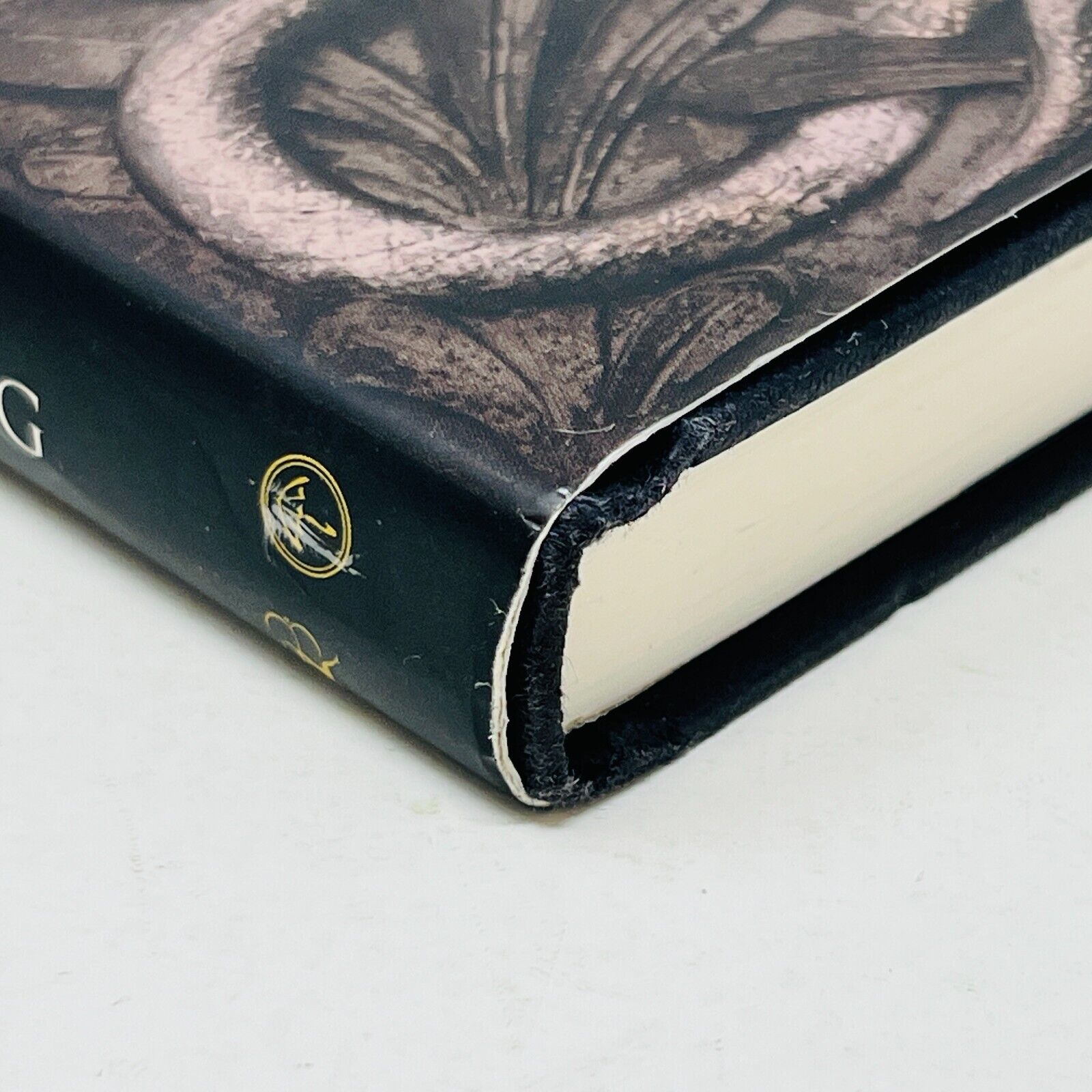 Harry Potter and the Chamber of Secrets Rowling Raincoast Black Cover 1st Print