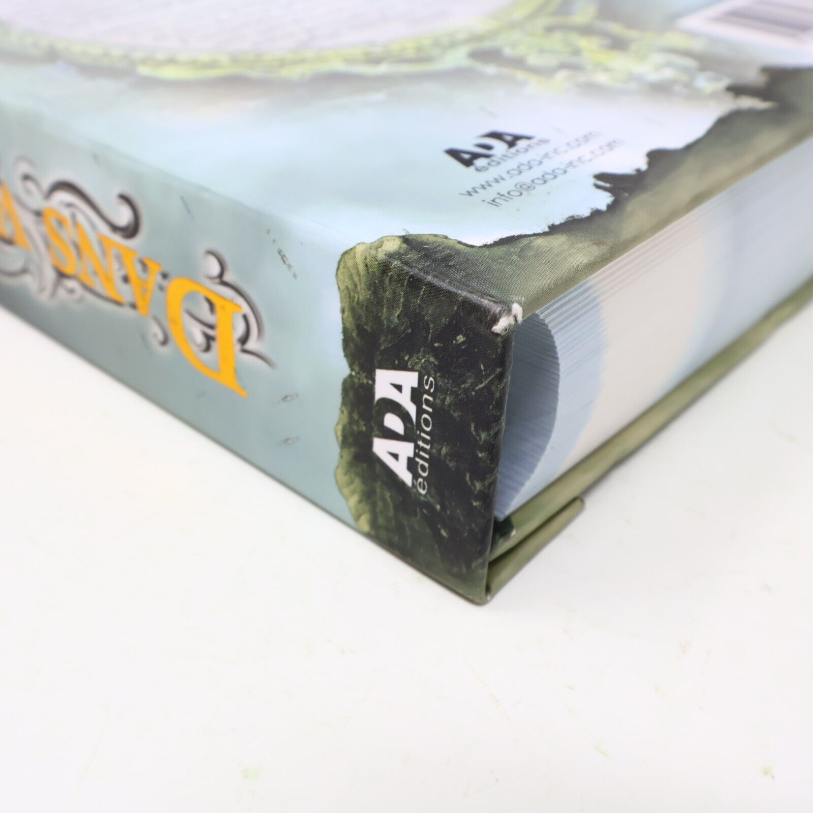 2012 Dans Vos Rêves Dictionnaire Complet des Symboles Oniriques Ada Ésotérisme