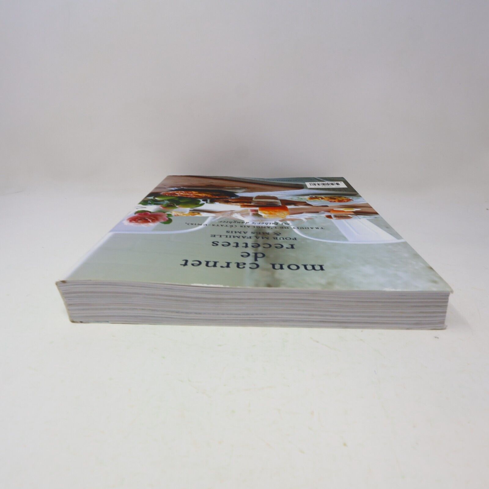 2011 Mon Carnet de Recettes pour ma Famille & mes Amis Gwyneth Paltrow Cuisine