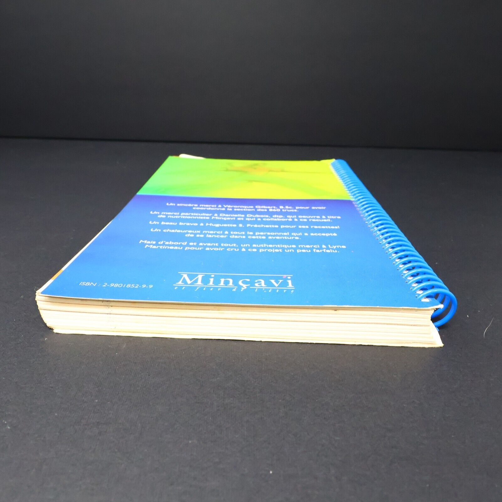 2002 Minçavi Guide de Motivation Paperback PB Témoignages Cuisine Recettes Diète