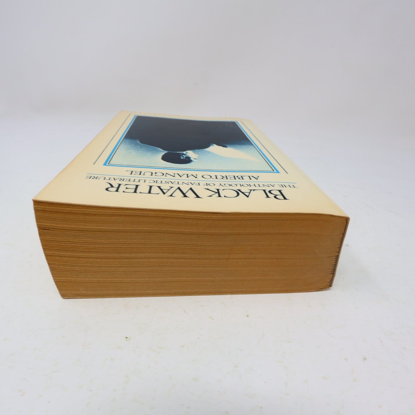 1983 Black Water the Anthology of Fantastic Literature Alberto Manguel Fantasy