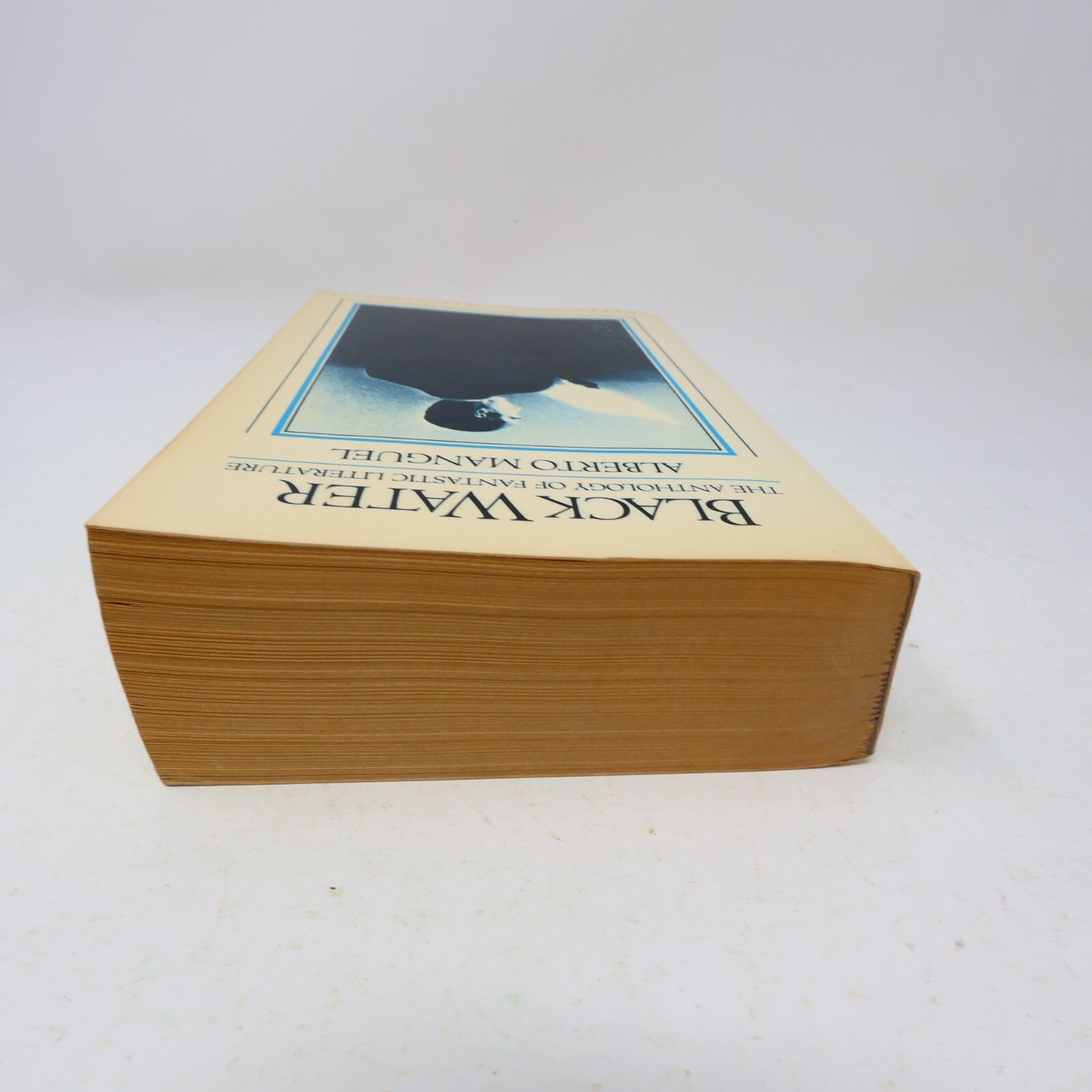 1983 Black Water the Anthology of Fantastic Literature Alberto Manguel Fantasy