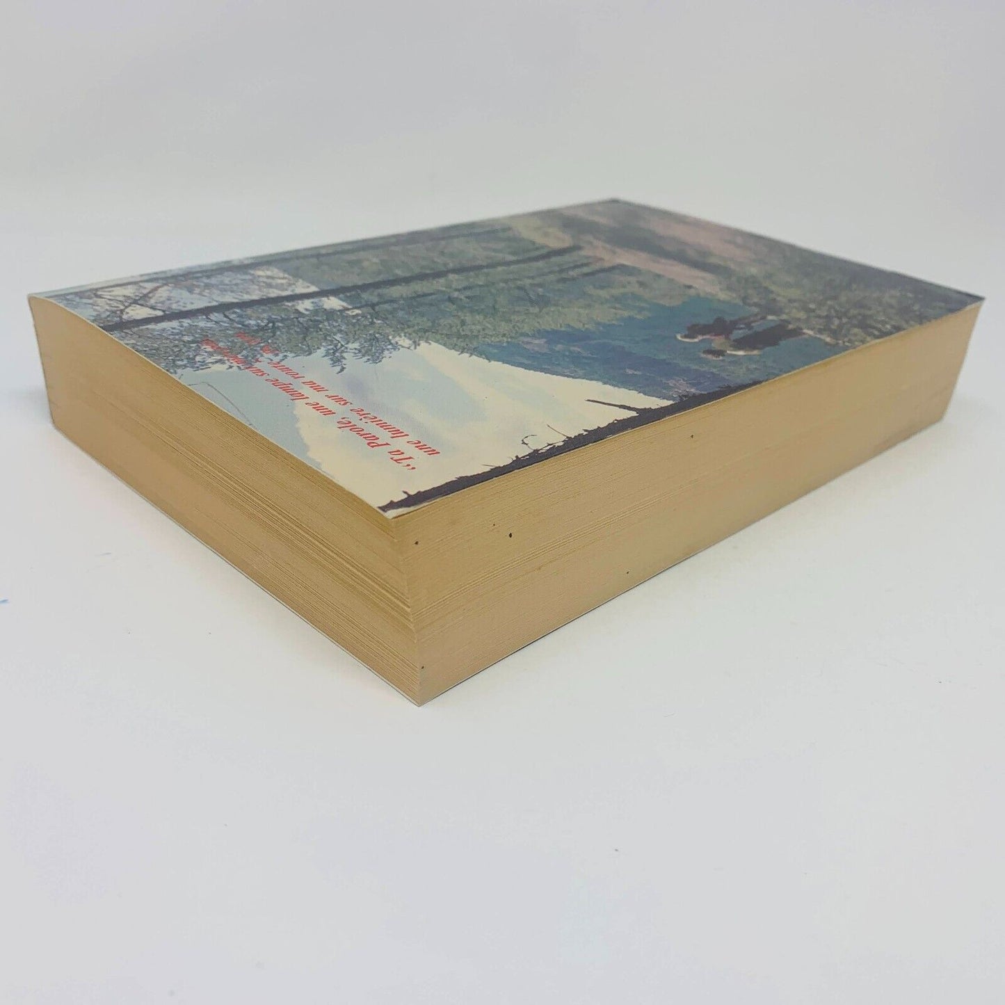 1987 Le Nouveau Testament de la Bible de Jérusalem Anne Sigier / Cerf Français