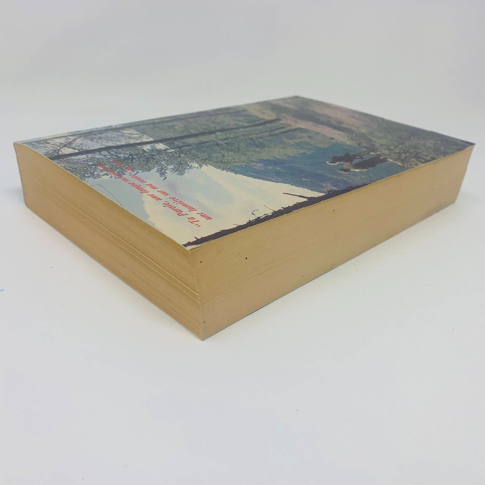 1987 Le Nouveau Testament de la Bible de Jérusalem Anne Sigier / Cerf Français