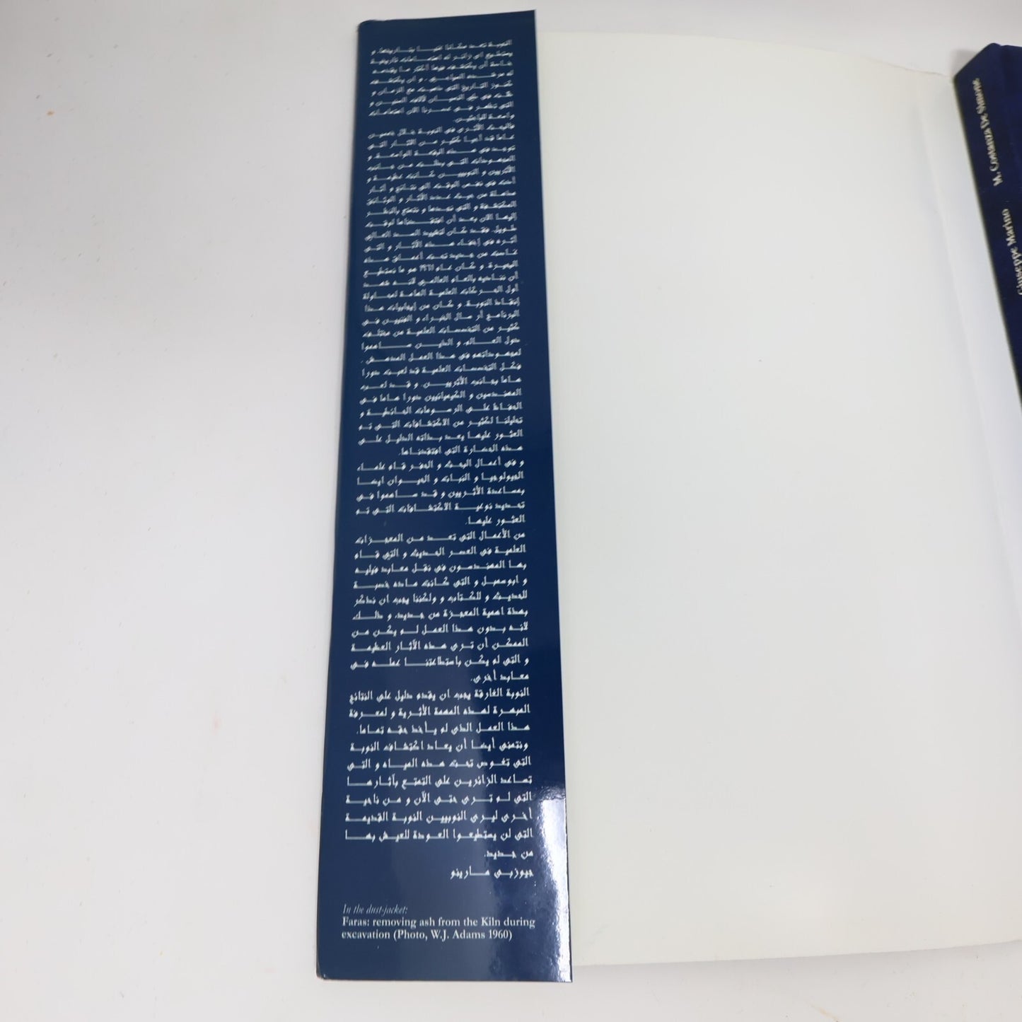 2000 Nubia Submerged Simone/Marino Society History Archeology Agenza Italiana HC